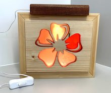 Load image into Gallery viewer, Flower Money Box Night Light